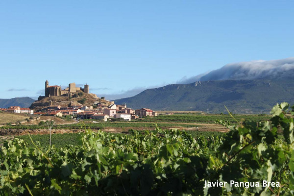 castillo-javier-pangua-brea-18CBD5193-E890-B727-1E4D-2DCAB92D8815.jpg
